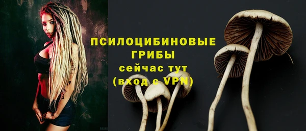 твердый Новодвинск