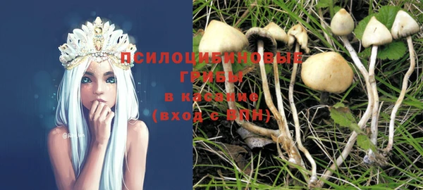 прущая мука Алзамай